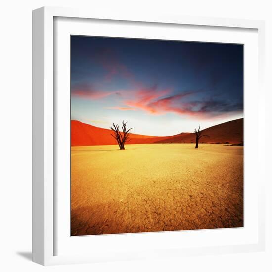 Dead Valley in Namibia-Andrushko Galyna-Framed Photographic Print