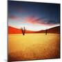 Dead Valley in Namibia-Andrushko Galyna-Mounted Photographic Print