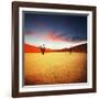 Dead Valley in Namibia-Andrushko Galyna-Framed Photographic Print