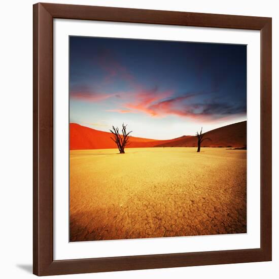 Dead Valley in Namibia-Andrushko Galyna-Framed Photographic Print