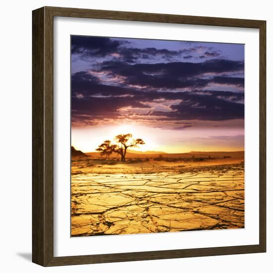 Dead Valley in Namibia-Andrushko Galyna-Framed Photographic Print