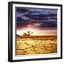 Dead Valley in Namibia-Andrushko Galyna-Framed Photographic Print