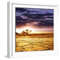 Dead Valley in Namibia-Andrushko Galyna-Framed Photographic Print