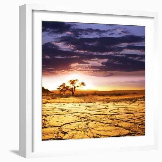 Dead Valley in Namibia-Andrushko Galyna-Framed Photographic Print