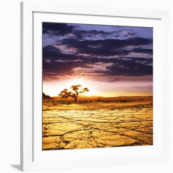 Dead Valley in Namibia-Andrushko Galyna-Framed Photographic Print