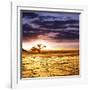 Dead Valley in Namibia-Andrushko Galyna-Framed Photographic Print