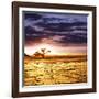 Dead Valley in Namibia-Andrushko Galyna-Framed Photographic Print