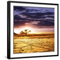 Dead Valley in Namibia-Andrushko Galyna-Framed Photographic Print