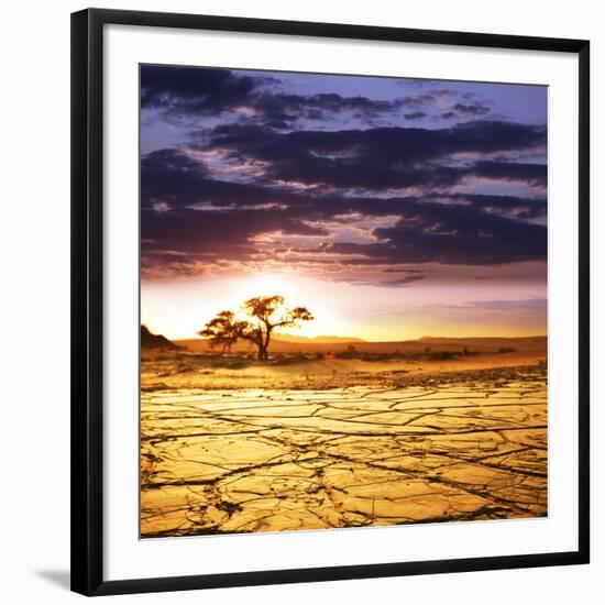 Dead Valley in Namibia-Andrushko Galyna-Framed Photographic Print