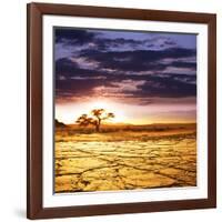 Dead Valley in Namibia-Andrushko Galyna-Framed Photographic Print