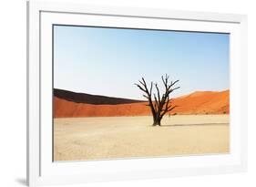 Dead Valley in Namibia-Andrushko Galyna-Framed Photographic Print