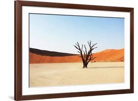 Dead Valley in Namibia-Andrushko Galyna-Framed Photographic Print