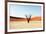 Dead Valley in Namibia-Andrushko Galyna-Framed Photographic Print