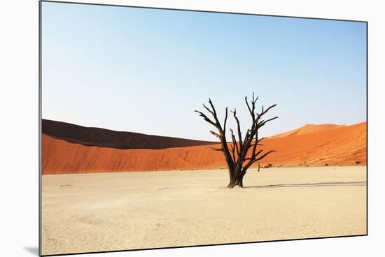 Dead Valley in Namibia-Andrushko Galyna-Mounted Photographic Print