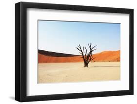 Dead Valley in Namibia-Andrushko Galyna-Framed Photographic Print