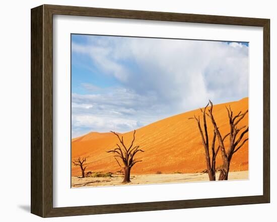 Dead Valley in Namibia-Andrushko Galyna-Framed Photographic Print