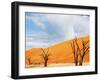 Dead Valley in Namibia-Andrushko Galyna-Framed Photographic Print