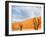 Dead Valley in Namibia-Andrushko Galyna-Framed Photographic Print