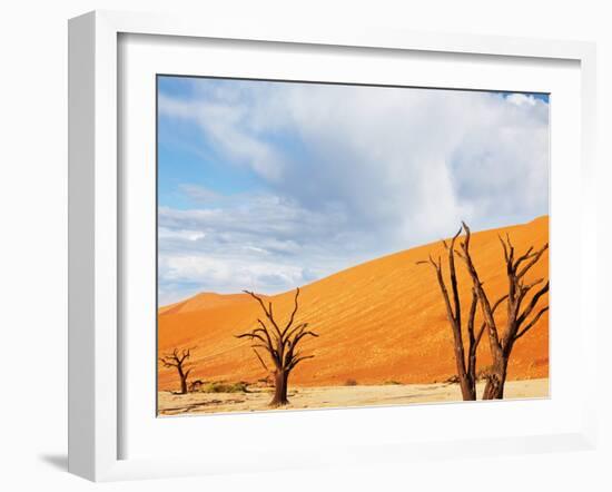 Dead Valley in Namibia-Andrushko Galyna-Framed Photographic Print