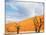 Dead Valley in Namibia-Andrushko Galyna-Mounted Photographic Print