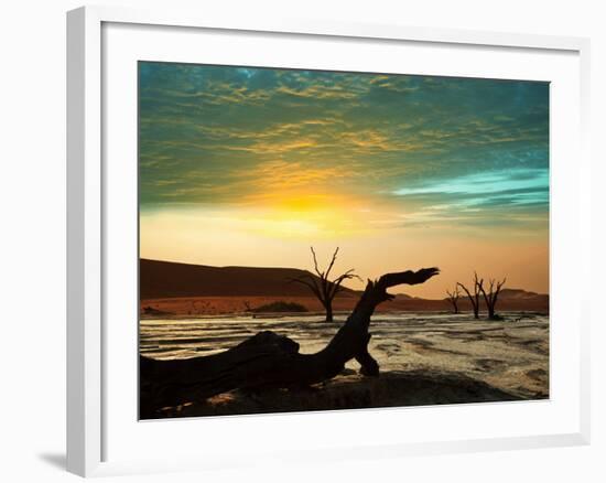 Dead Valley in Namibia-Andrushko Galyna-Framed Photographic Print