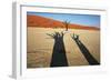 Dead Valley in Namibia-Andrushko Galyna-Framed Photographic Print