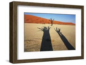 Dead Valley in Namibia-Andrushko Galyna-Framed Photographic Print