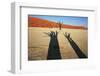 Dead Valley in Namibia-Andrushko Galyna-Framed Photographic Print