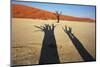 Dead Valley in Namibia-Andrushko Galyna-Mounted Photographic Print