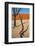 Dead Valley in Namibia-Andrushko Galyna-Framed Photographic Print