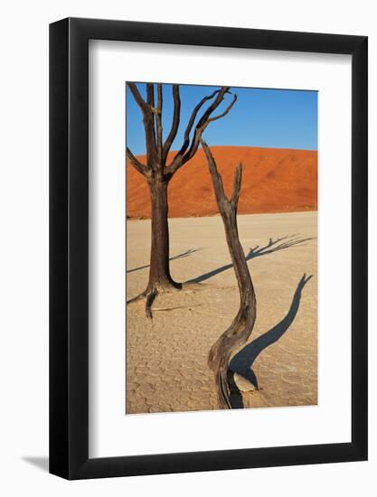 Dead Valley in Namibia-Andrushko Galyna-Framed Photographic Print