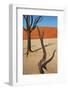 Dead Valley in Namibia-Andrushko Galyna-Framed Photographic Print