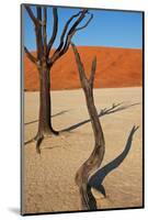 Dead Valley in Namibia-Andrushko Galyna-Mounted Photographic Print