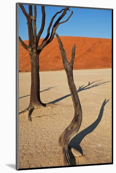 Dead Valley in Namibia-Andrushko Galyna-Mounted Photographic Print