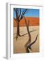 Dead Valley in Namibia-Andrushko Galyna-Framed Photographic Print