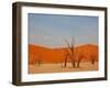 Dead Valley in Namibia-Andrushko Galyna-Framed Photographic Print