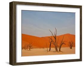 Dead Valley in Namibia-Andrushko Galyna-Framed Photographic Print