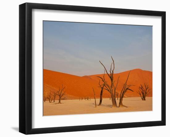 Dead Valley in Namibia-Andrushko Galyna-Framed Photographic Print