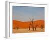 Dead Valley in Namibia-Andrushko Galyna-Framed Photographic Print