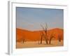 Dead Valley in Namibia-Andrushko Galyna-Framed Photographic Print