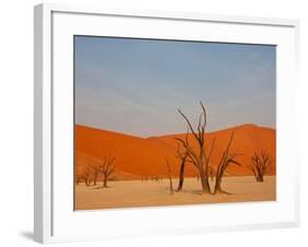 Dead Valley in Namibia-Andrushko Galyna-Framed Photographic Print