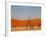 Dead Valley in Namibia-Andrushko Galyna-Framed Photographic Print