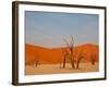 Dead Valley in Namibia-Andrushko Galyna-Framed Photographic Print