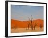 Dead Valley in Namibia-Andrushko Galyna-Framed Photographic Print