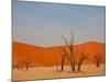 Dead Valley in Namibia-Andrushko Galyna-Mounted Photographic Print