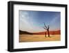 Dead Valley in Namibia-Andrushko Galyna-Framed Photographic Print