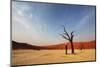 Dead Valley in Namibia-Andrushko Galyna-Mounted Photographic Print