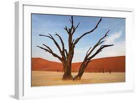 Dead Valley in Namibia-Andrushko Galyna-Framed Photographic Print