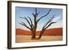 Dead Valley in Namibia-Andrushko Galyna-Framed Photographic Print