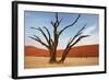 Dead Valley in Namibia-Andrushko Galyna-Framed Photographic Print